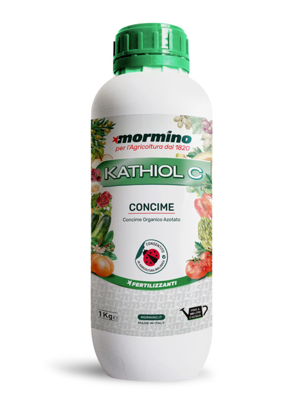Katiol C - immagine 2